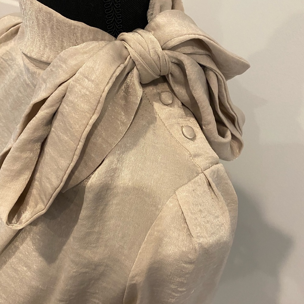 Polyester Blouse Never worn